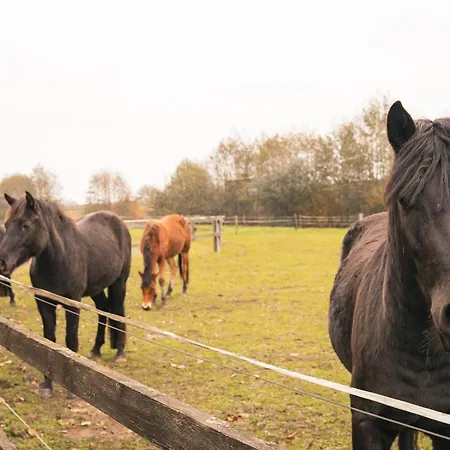 公寓 Select2stay - Business Badbergen