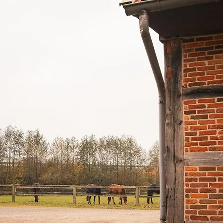 Select2stay - Business Badbergen