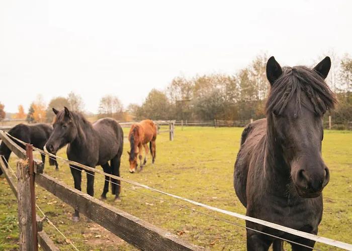 דירה Select2stay - Business Badbergen